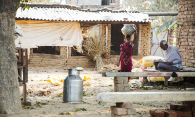 बिहार के एक गांव का दृश्य (फोटो क्रेडिट - Flickr)