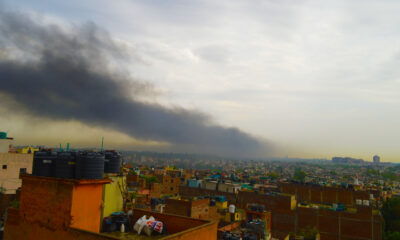 By Tarkeshwar Rawat - Own work, CC BY-SA 4.0, Link