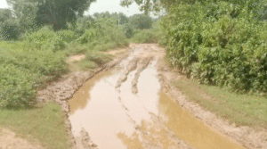 कच्ची सड़क होने से आदिवासी विकास से दूर।