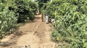कच्ची सड़क होने से आदिवासी विकास से दूर।
