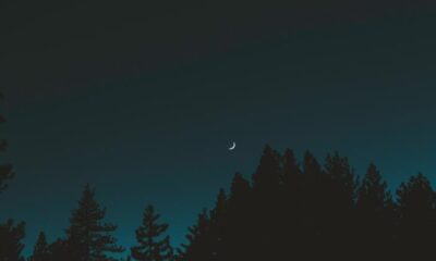 अमावस्या