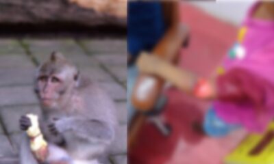 बच्ची के कोहनी पर गहरा घाव। (तस्वीर - टीम बोलते पन्ने)
