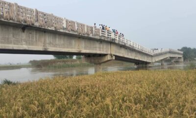 अररिया में टूटा पुल