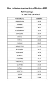 चुनाव आयोग की ओर से उपलब्ध जिलावार वोटिंग का डेटा