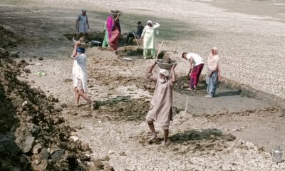 By Mulkh Singh - Own work, CC BY-SA 4.0, https://commons.wikimedia.org/w/index.php?curid=128850615