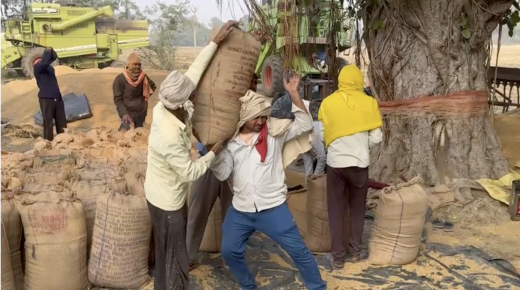 रोहतास जिले में धान क्रय केंद्र पर धान की बोरी ले जाते किसान ।
