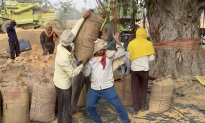 रोहतास जिले में धान क्रय केंद्र पर धान की बोरी ले जाते किसान ।