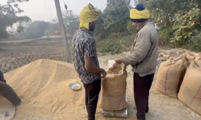 बिहार में धान की खरीद कम और धीमी होने से किसान अपनी फसल कम दाम पर खुले बाजार में बेचने को मजबूर हैं।