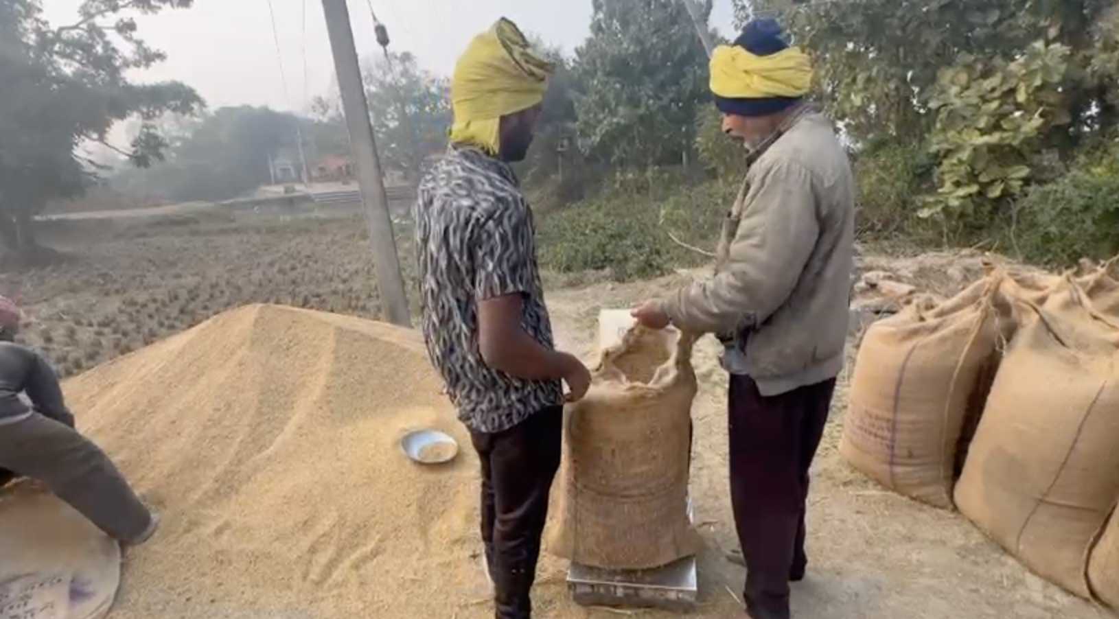 बिहार में धान की खरीद कम और धीमी होने से किसान अपनी फसल कम दाम पर खुले बाजार में बेचने को मजबूर हैं।