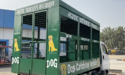 नवादा नगर परिषद की ओर से कुत्तों को पकड़ने के लिए डॉग कैच व्हीकल तैयार कराए गए हैं।