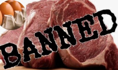 गणतंत्र दिवस के मौके पर मीट बैन करने की घटना ने प्रशासनिक विवेक पर सवाल खड़े किए हैं। (सांकेतिक तस्वीर)