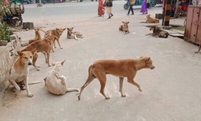 सांकेतिक तस्वीर