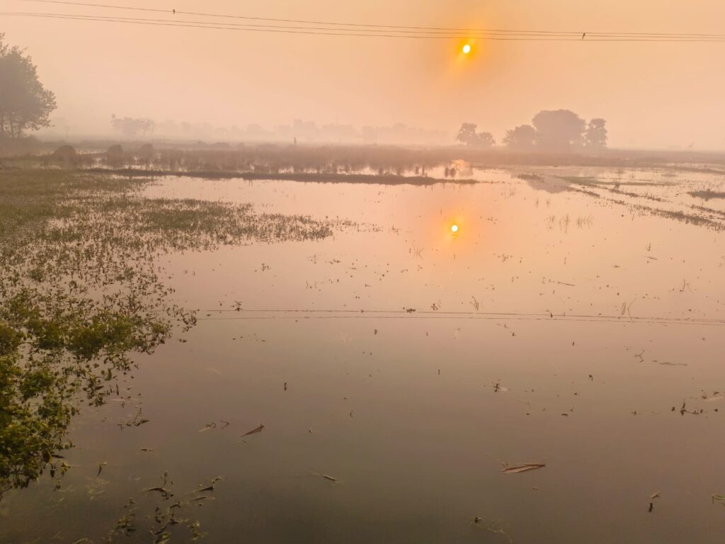 मुंगेर में डैम से अचानक पानी छोड़े जाने से फसलें डूब गईं।