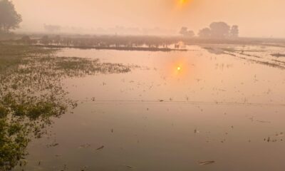 मुंगेर में डैम से अचानक पानी छोड़े जाने से फसलें डूब गईं।