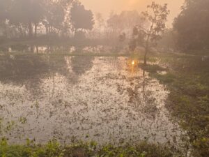 मुंगेर में डैम से अचानक पानी छोड़े जाने से फसलें डूब गईं।