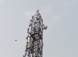 मोबाइल टावर पर सबसे ऊपर चढ़ गया युवक