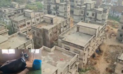 60 फ्लैट वाले इस आवासीय परिसर में जानवर बांधे जा रहे हैं, ये परिसर मेडिकल कर्मियों के रहने के लिए बनाया गया था।