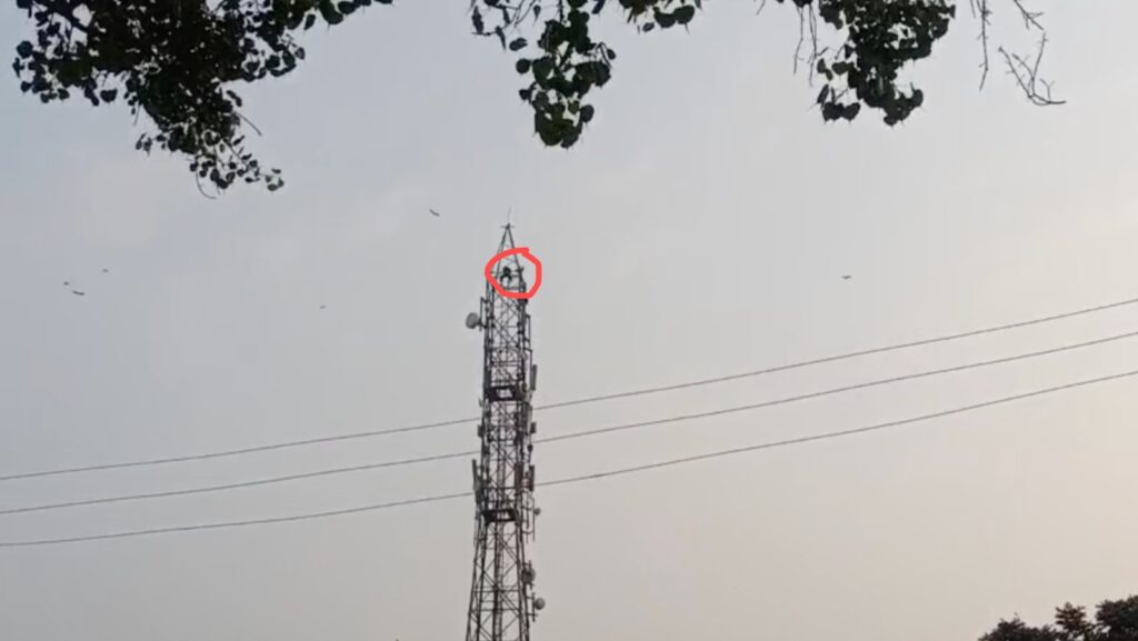 अपने गांव के मोबाइल टावर पर युवक (लाल घेरे में) नौ घंटों तक चढ़ा रहा।