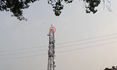 अपने गांव के मोबाइल टावर पर युवक (लाल घेरे में) नौ घंटों तक चढ़ा रहा।