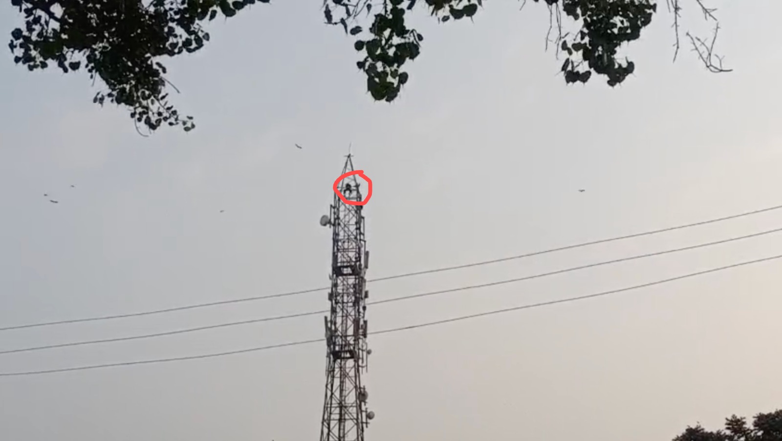अपने गांव के मोबाइल टावर पर युवक (लाल घेरे में) नौ घंटों तक चढ़ा रहा।